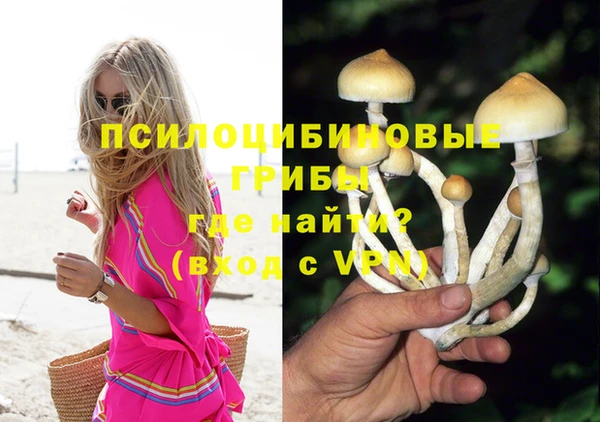 гашиш Кулебаки