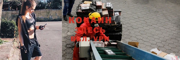мдпв Абаза