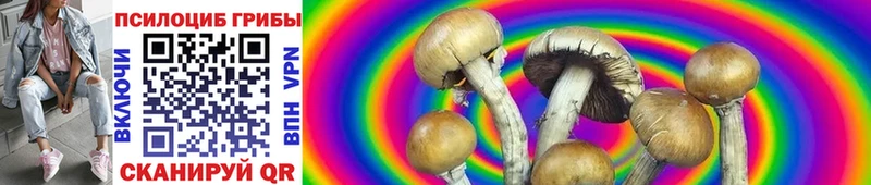 Псилоцибиновые грибы GOLDEN TEACHER  Никольское 